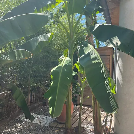 Seasun Saint-Cyr-sur-Mer